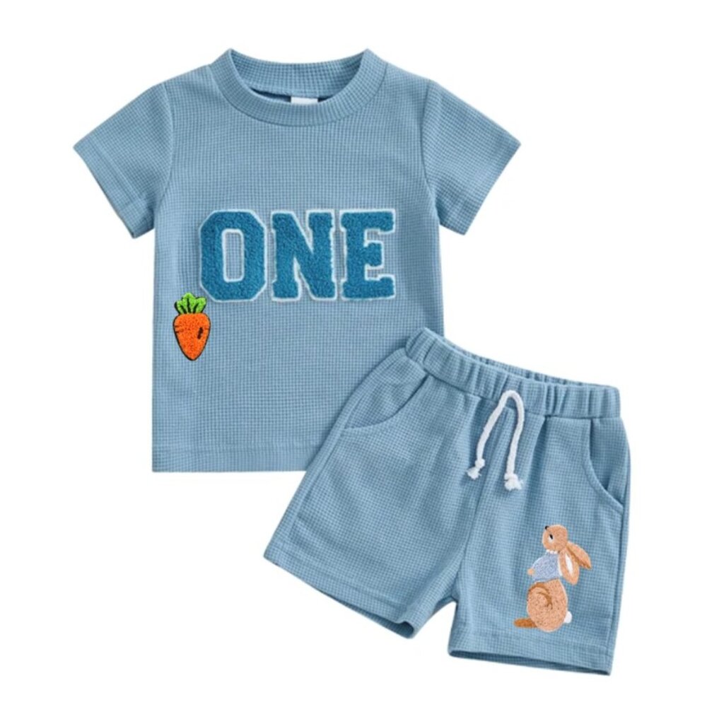 Peter Rabbit First Birthday Peter Rabbit Outfit Clothes Shirt Shorts